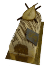 Bûche poire chocolat
